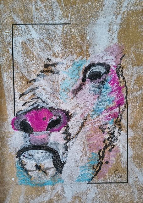 Matteo - der Stier aus Linda